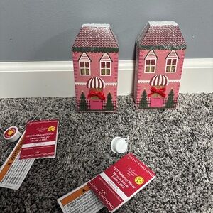 Ashland Pink and Red LED Holiday Houses